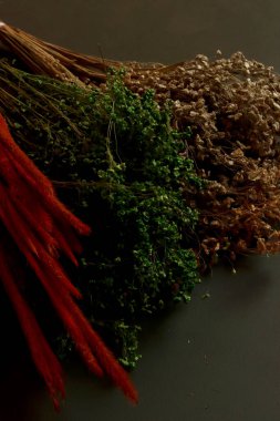 Kurumuş çiçekler okaliptüs çiçekçi nesne sanat ürünü işi botanik sanatı sanatı.