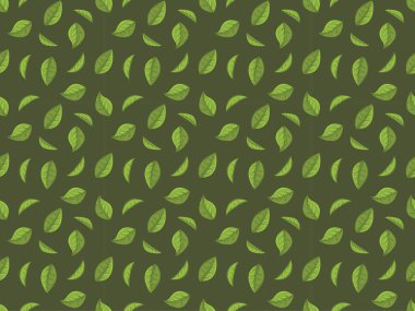 Matcha, toz yeşil çay, Japon yaprağı tozu, bitki tozu, geleneksel çizgi film ikonu.