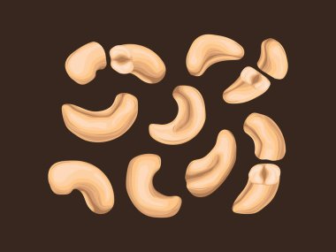 Köfte fırınlanmış kacang kavrulmuş doğa karikatür işi hasat ikonu düz vejetaryen kaju detayı işlenmemiş.