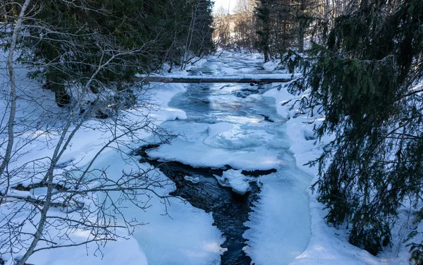 Красивая Замерзшая Река Зимнем Снежном Лесу — стоковое фото