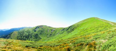 Panorama, güzel, yaz yamaçlarında yeşil çimlerle kaplı, mavi gökyüzüne karşı seyahat