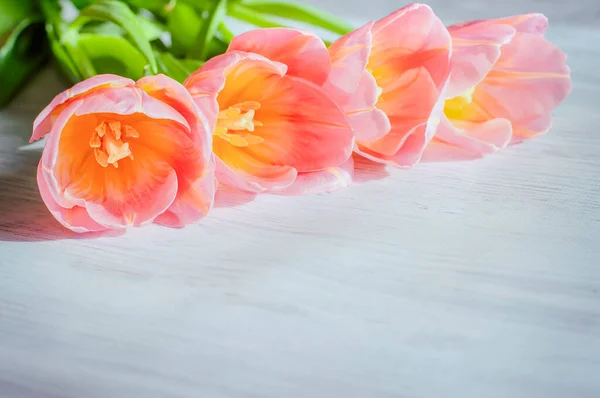 Mothers Day Close Tulips Sunlight Wooden Background Early Spring Womens — Stock Photo, Image