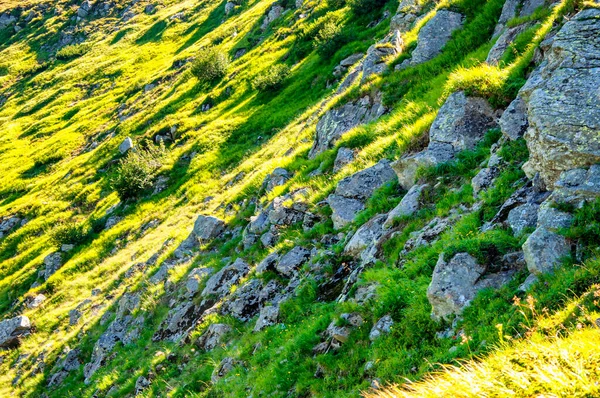 Stones Grass Mountainside Clear Sunny Day High Quality Photo — Stock Photo, Image