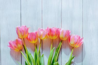 spring tulips in sunlight on a wooden background. early spring, mothers day, womens day. High quality photo