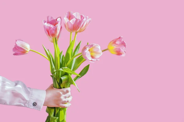 Boys Hand Holds Bouquet Tulips Pink Background High Quality Photo — Stock Photo, Image