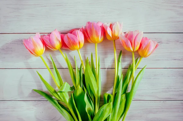 Spring Tulips Sunlight Wooden Background Early Spring Mothers Day Womens — Stock Photo, Image