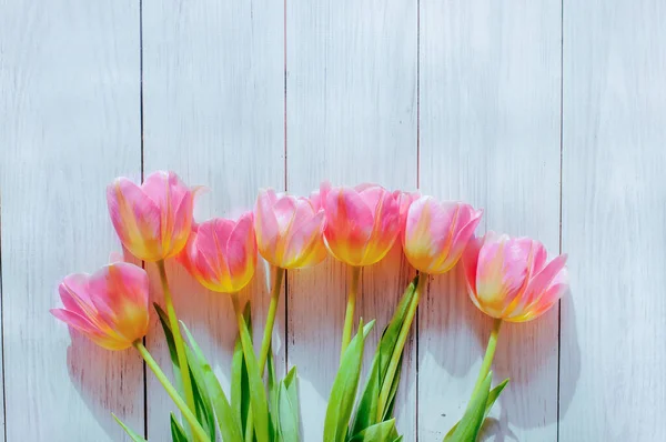 Spring Tulips Sunlight Wooden Background Early Spring Mothers Day Womens — Stock Photo, Image