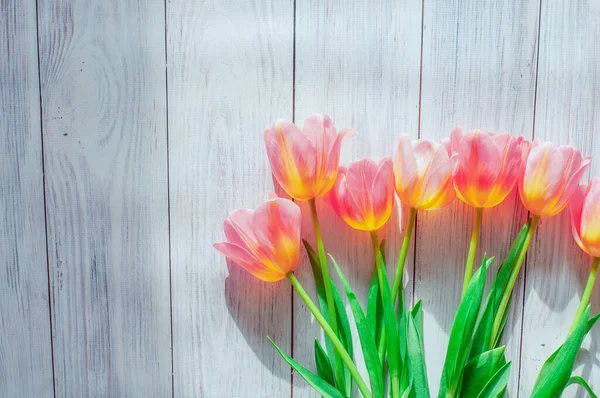 Tulips Lie Row Wooden Background Spring Womens Day Mothers Day — Stock Photo, Image