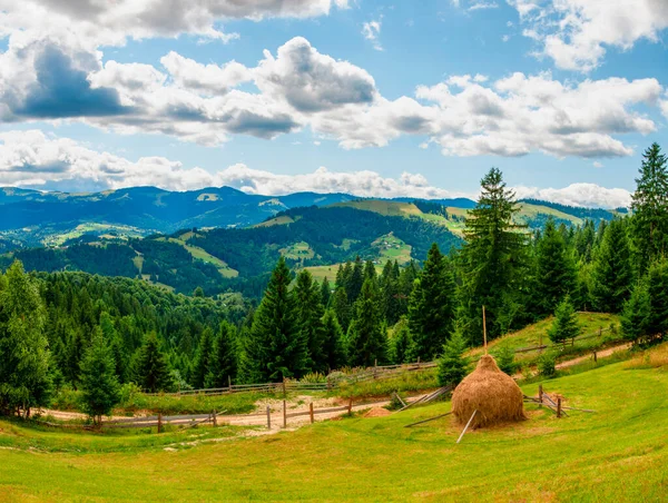 Letni Ranek Panorama Sielankowych Górskich Krajobrazów Karpatach Zielonymi Lasami Zboczach — Zdjęcie stockowe