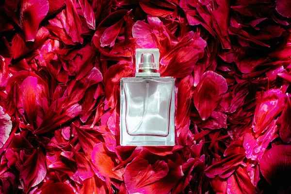 Butelka Perfum Płatkach Piwonii Pięknym Karmazynowym Kolorze Promieniach Słońca Wysokiej — Zdjęcie stockowe