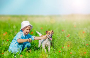 Mutlu çocuk güneşli tarlada genç köpeği eğitiyor.