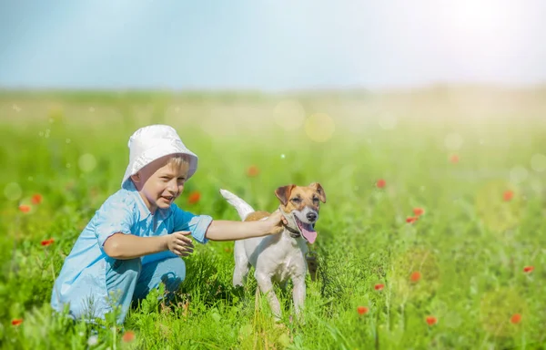 Счастливый Ребенок Дрессирует Собаку Солнечном Поле — стоковое фото