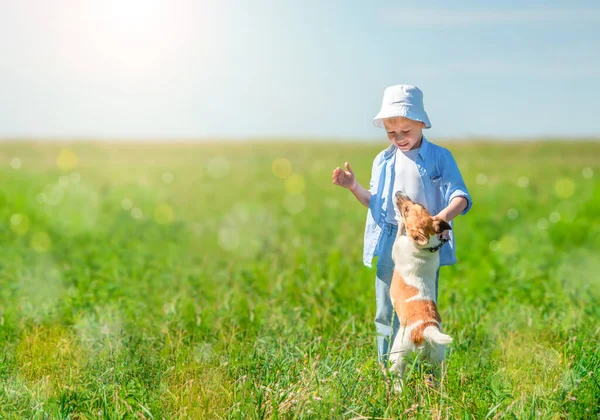 Веселый Мальчик Играющий Собакой Подгузнике Солнечный День Концепция Дружбы Детство — стоковое фото