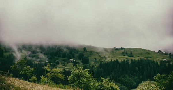 Nevoeiro Nas Montanhas Manhã Amanhecer Panorama Foto Alta Qualidade — Fotografia de Stock