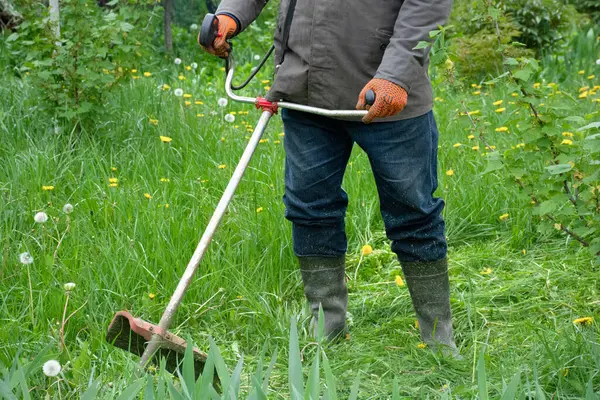 Bahçedeki adam çim biçme makinesiyle çim biçiyor, bahçe bakımı yapıyor. Yüksek kalite fotoğraf