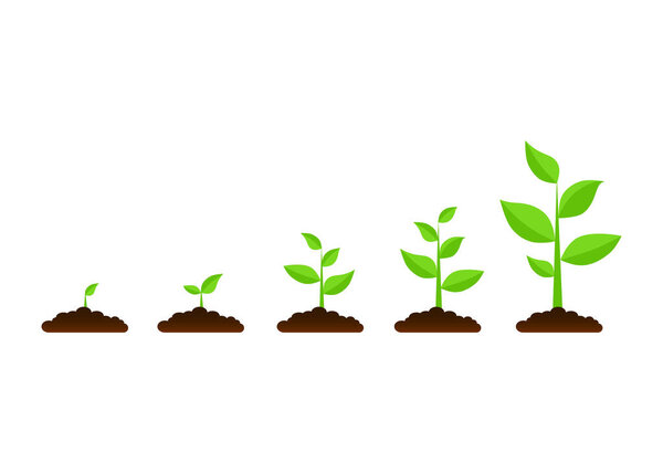 green campaign trees grow from seeds forest replanting