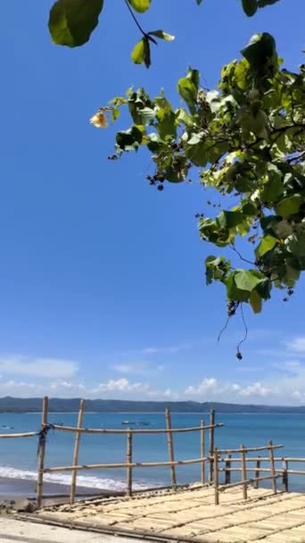 倾斜射击 风貌优美的沙滩 竹叶和宽叶作前置物 — 图库视频影像