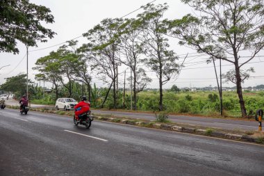 Karawang, Endonezya - 3 Haziran: Karawang, Endonezya 'daki Pirinç Tarlaları Geçidi