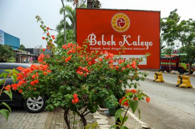 Purwakarta, Endonezya - 3 Haziran: Bebek Kaleyo Restoran Tabelası ve Bougainvillea Ağacının Arkasındaki Yön İşareti
