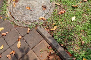 Asfalt kaldırım ve çimenli zeminde betonla kaplı drenaj kanalı rögar kapağı