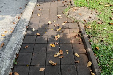 Asfalt kaldırım ve çimenli zeminde betonla kaplı drenaj kanalı rögar kapağı