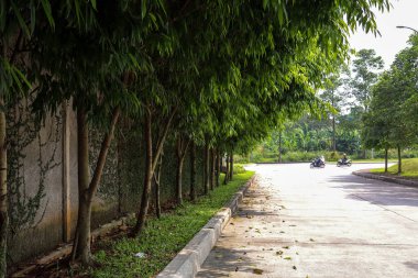 Tangerang Selatan, Endonezya - 2 Haziran 2024: Beton Yol Ağaçlarla çevrili PB Jaya Raya badminton spor arenası, Bintaro, Tangerang Selatan, Endonezya