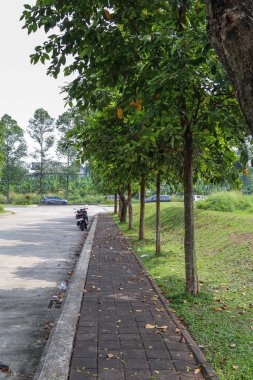 Tangerang Selatan, Endonezya - 2 Haziran 2024: Beton Yol Ağaçlarla çevrili PB Jaya Raya badminton spor arenası, Bintaro, Tangerang Selatan, Endonezya