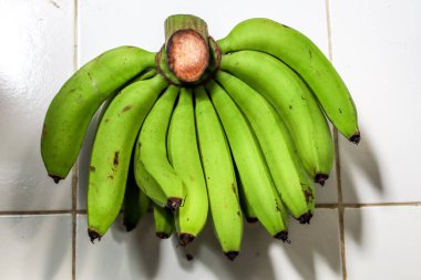 Olgunlaşmamış Ambon ve Boynuz muz yığını, tarlalardan yeni toplanmış, olgunlaşmayı bekliyorlar.