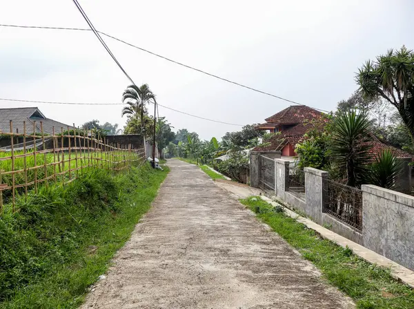 stock image Sukabumi, Indonesia - July 1st 2024 : Village Road Dividing Expansive Rice Fields with Trees and Rural Houses in Cool Mountainous Area