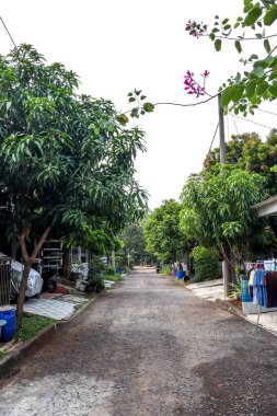 Cikarang, Endonezya - 2 Temmuz 2024: Tek Katlı Evler ve Lükslü Gölgeli Ağaçlar Konutları içinde sakin bir sokak manzarası