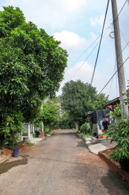 Cikarang, Endonezya - 2 Temmuz 2024: Tek Katlı Evler ve Lükslü Gölgeli Ağaçlar Konutları içinde sakin bir sokak manzarası