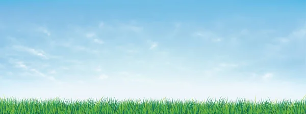 Свежая Весенняя Зеленая Трава Прекрасным Голубым Небом Природный Фон Зеленой — стоковый вектор