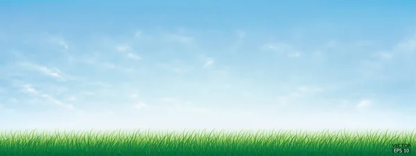 Свежая Весенняя Зеленая Трава Прекрасным Голубым Небом Природный Фон Зеленой — стоковый вектор