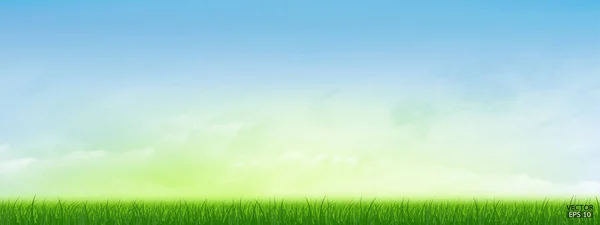 Φρέσκο Πράσινο Γρασίδι Άνοιξη Κάτω Από Όμορφο Γαλάζιο Ουρανό Φόντο — Διανυσματικό Αρχείο