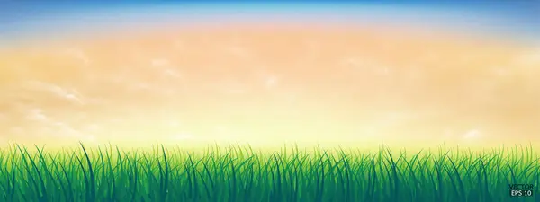 Fresh Spring Green Grass Beautiful Yellow Blue Sky Nature Background — Stock Vector