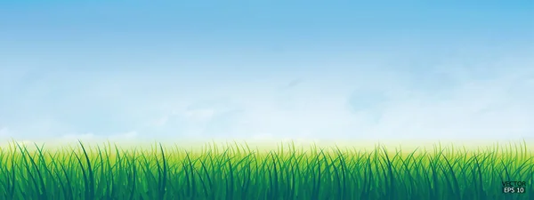 Frisches Frühlingsgrünes Gras Unter Wunderschönem Blauen Himmel Natur Hintergrund Mit — Stockvektor