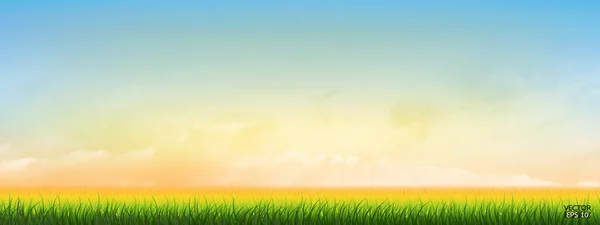 Fresca Hierba Verde Primavera Bajo Hermoso Cielo Amarillo Azul Fondo — Vector de stock