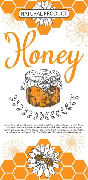 蜂蜜传单病媒 天然产品手绘广告 用罐子 蜜蜂昆虫和花朵雕刻的详细图解 养蜂人农场推广 — 图库矢量图片