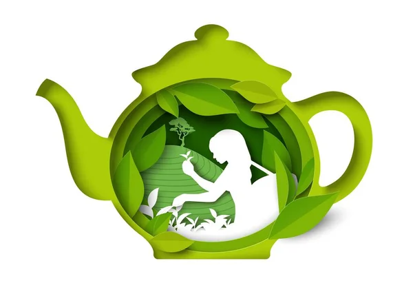 Vector Tea Pot Icon Woman Silhouette Harvesting Herbs Gathering Green — Stockový vektor
