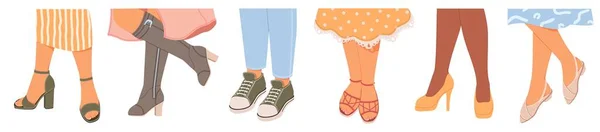 Kobiece Stopy Noszące Różne Sezonowe Buty Wektor Ilustracji Izolowane Białym — Wektor stockowy