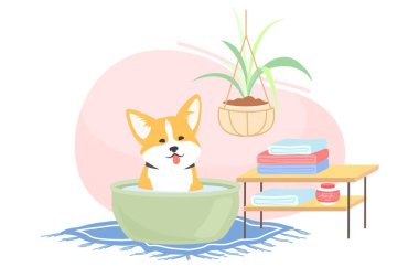 Tatlı Corgi köpeği banyo vektörü çizimi yapıyor. Evcil hayvan sahnesi için ev yapımı hijyenik prosedür