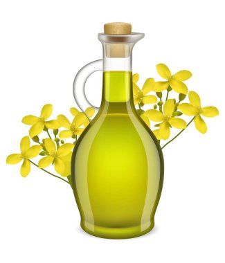 Ağaç çiçekli zeytinyağı sürahisi süsleme vektör illüstrasyonu. Yemek pişirme reklam tasarımı için doğal organik ürün