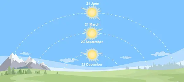 Days of solstices and equinox in year education poster vector illustration. Annual and seasonal peculiarities astronomy science banner with natural landscape background