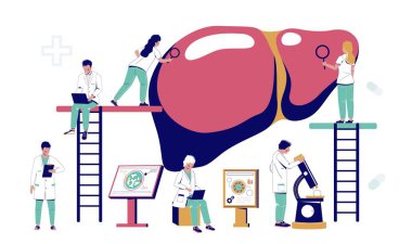 Erkek ve kadın doktor ekibi kanser veya hepatit hastalığı teşhisi için insan karaciğeri kontrolü yapıyor. Laboratuvar testi ve inceleme vektörü çizimi yapıyorlar.