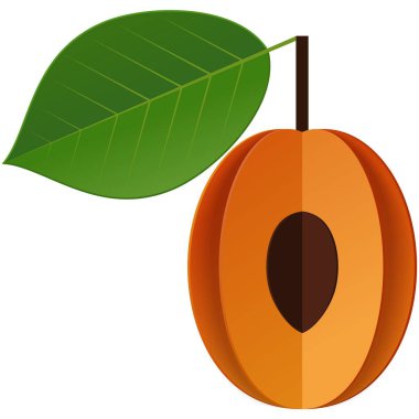 Kayısı, meyve vektörü illüstrasyonu. Olgun nektarin düz simgesi. Beyaz arka planda tohum ve yeşil yapraklı tatlı organik gıda dilimi