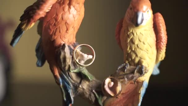 Попугай Кольцо Носителя Свадебное Блаженство Является Уникальным Запоминающимся Дополнением Любой — стоковое видео