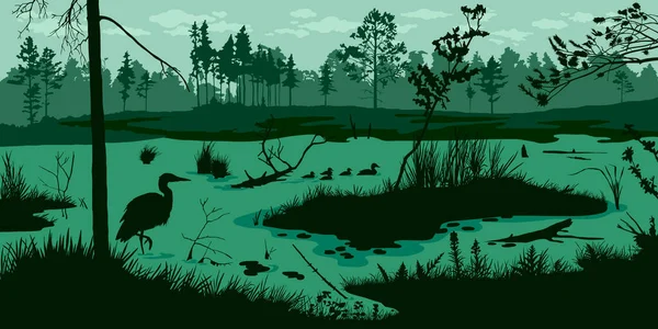 横向沼泽景观 森林和鸟类的沼泽轮廓背景 池塘户外全景 河流晨景 矢量说明 — 图库矢量图片#