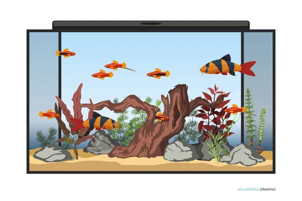 水族馆水下内部 鱼和水生植物的卡通背景 国内水箱景观 水景画 矢量说明 — 图库矢量图片