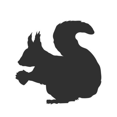 Sincap silueti. Siyah izole çizim. Kuzey Amerika orman hayvanı. Hayvanat bahçesi logosu. Vektör illüstrasyonu