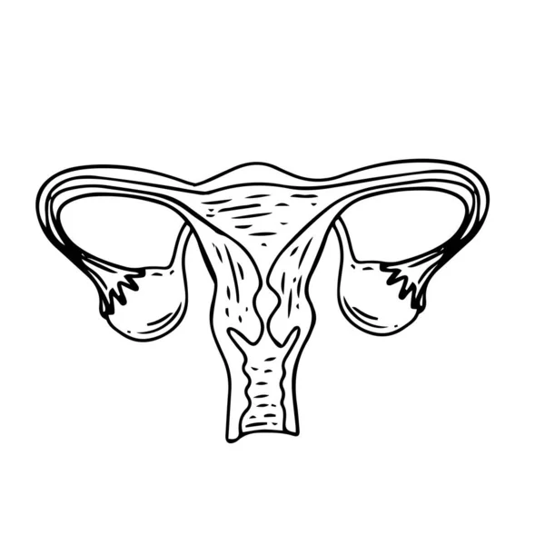 Santé Des Femmes Infographie Florale Syndrome Des Ovaires Polykystiques Schéma — Image vectorielle